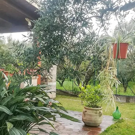 Holiday home Amazing Home In Lamezia Terme With Outdoor Swimming Pool, Wifi And 2 Bedrooms *